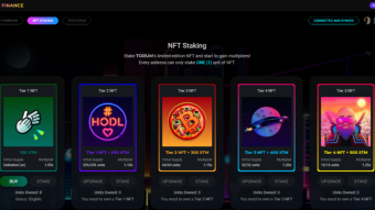 DeFi + NFT + Interoperability: Torum Is ready To Take Off
