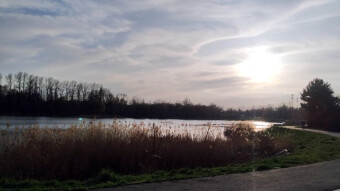 Today is the return of a beautiful early spring, sunny, warm and.. fish?