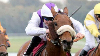 Fendale (6.30 Newcastle, 11 Feb)
