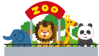 The Zoo's Portfolios - Month 1 / Week 2