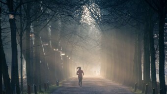 Quitting?