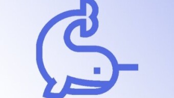 Narwhalswap is aiming to expand DeFi ecosystem on Binance Smart Chain