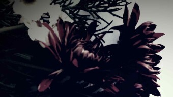 Nectar Of Freedom- A Poem