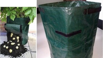 How Garden Balcony  Planting Bags are improving urban organic farming.