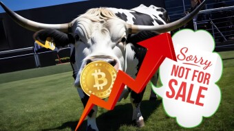 Matrixport vs. Market Correction: What Really Caused Bitcoin's First Major Plunge of Bull Run And 2024?