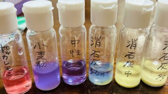 The color changes of the red cabbage solution.