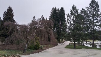 Friday much cooler, more spring-like - My Actifit Report Card: March 20, 2026