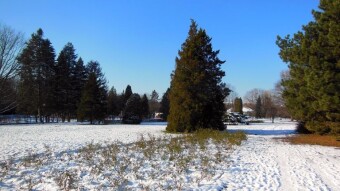 A Very Lazy Sunday - My Actifit Report Card: January 4, 2026