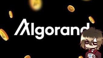 Algorand in focus, the champion of PoS