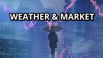 Does the weather affect the market?