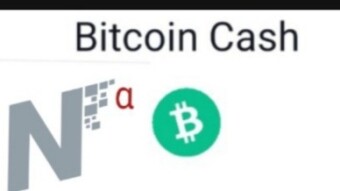 Noise.Cash (A Beginner's Guide)