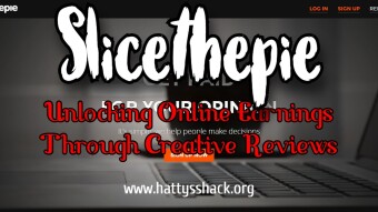 SliceThePie - Unlocking Online Earnings Through Creative Reviews