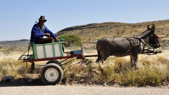 Lessons from Robert Kiyosaki's "Rich Dad, Poor Dad" (Part 1: The Donkey Cart)