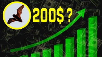 The future of BAT - 200 $ in 2025?