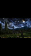 Shadow Universe