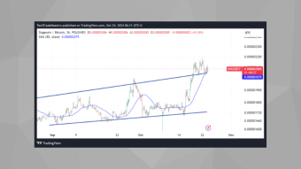 PEPEUSD: Will This Be the Next Big Boom?