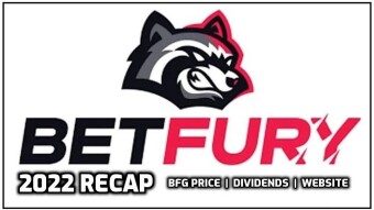 Betfury.io | 2022 Review [BFG Price & Dividends]