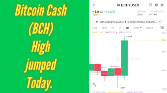 Bitcoin Cash (BCH) Very High Jumped Today.