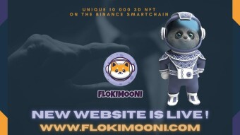 Whales are Buying Flokimooni in the dip which makes Flookimooni outperforming the market in 2022