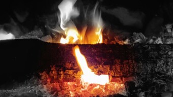 Blackouts and EVs Don't Go Together Well. Blockchain, Cryptos and DAOs Do...