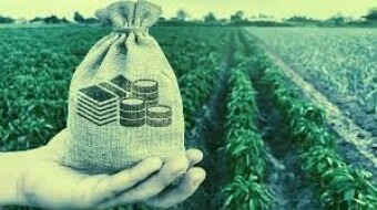 Yield Farming Basics and Ten Platforms to Consider