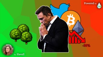 ELON MUSK's GREEN PROPOSAL for BITCOIN (and not only)🌱💡📈
