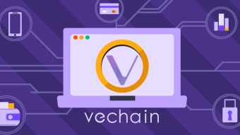 VeChain (VET)  Review