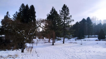 Almost all day with frost and sun, nice