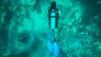 Delving into greater depths- a true underwater experience- Day One- (AM)
