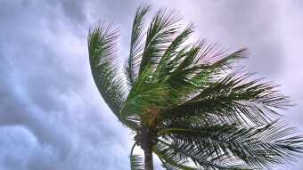 Eye of the financial storm