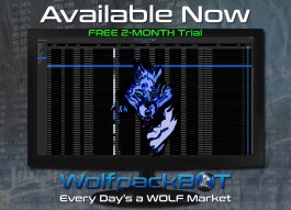 WolfpackBOT is a revolutionary solution in automated trading!