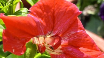 Random Photography