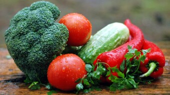 La importancia del vegetarianismo.