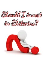 What To Know Before Investing In Any Shitcoin
