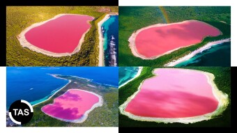 💮 Lake Hillier: Australia’s Stunning Pink Lake