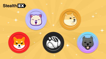 Meet Dogecoin And Other Dog Coins!
