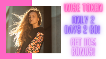 Wise Token Auction 48 Hits 1902ETH! Launch No 7 on Uniswap! Staking! ONLY 2 Days Left 2 Get 10% Bonus!