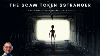 The Scam Token $STRANGER On BCHSmartChain Works Like A Virus
