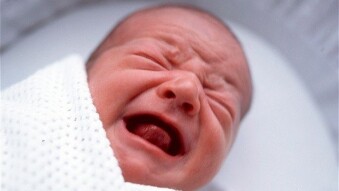 A cute baby