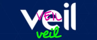 VEIL - AN OVERVIEW OF THE PLATFORM
