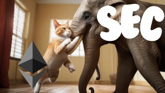 Ethereum V. SEC - Bull Run or Bust? This Lawsuit Could Decide Everything (Join the Fight!)