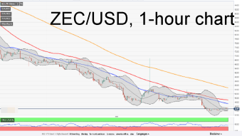 Zcash operating company reports losses