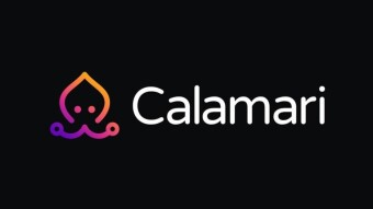 The Calamari Crowdloan on Kusama