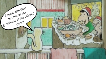 Feeding stray cats in 2022!