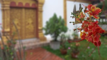 Rainy Wednesday Walk around Luang Prabang and Massage