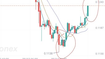 Pionex trading strategy