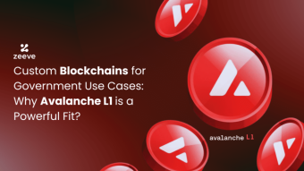 Custom Blockchains for Government Use Cases: Why Avalanche L1 is a Powerful Fit?