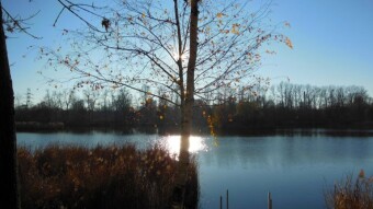 A repeat of yesterday - or even more beautiful and spring-like - My Actifit Report Card: December 2, 2024