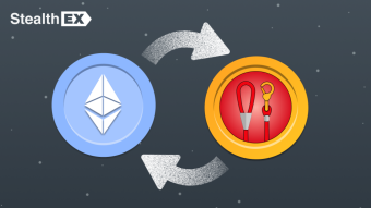 Where And How To Buy LEASH Coin Doge Killer?