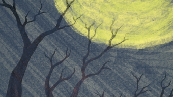 Winter Moon Trees